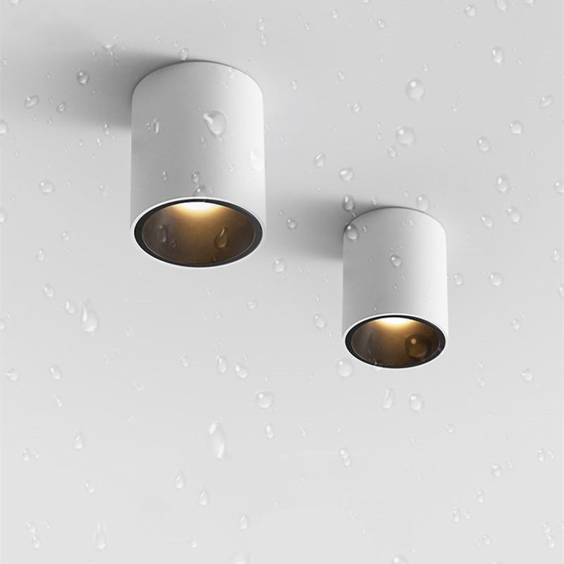 Outdoor Lighting Under Roof - CRI97 LED オープン防水 IP65 ダウンライト 15