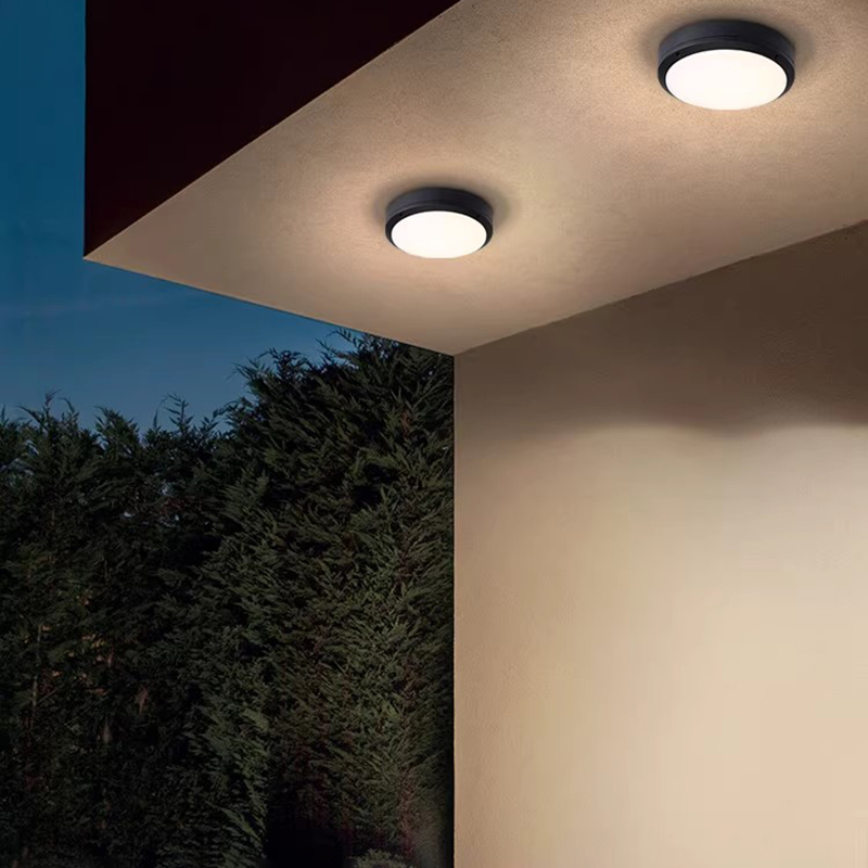 屋外シーリングライト 防水・防湿 玄関バルコニー天井照明器具 - Outdoor Lighting Under Roof のレビューと価格