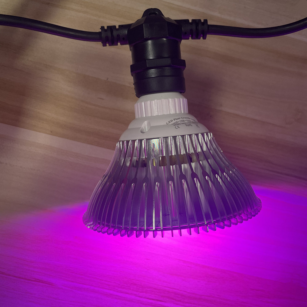 10 メートルケーブル LED ストリング商用グレード防水  - Outdoor Lighting Ideas のレビューと価格