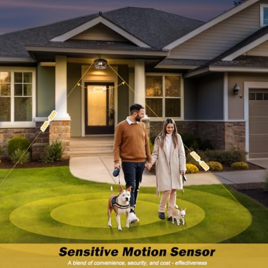 モーションセンサー屋外天井照明、調節可能な黒色フラッシュマウ - Outdoor Lighting Sensor のレビューと価格