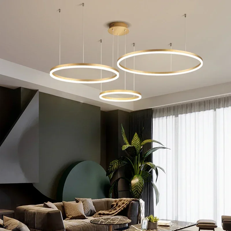 モダンなデザインの円形LEDハンギングランプ,つや消しリング - Outdoor Lighting Pendant のレビューと価格